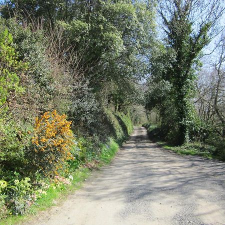 Higher Coombe โบวีเทรซี ภายนอก รูปภาพ