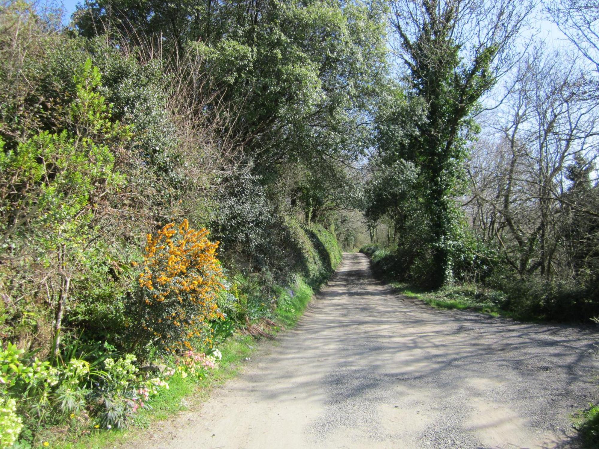 Higher Coombe โบวีเทรซี ภายนอก รูปภาพ